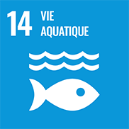 Objectifs de développement durable-14 vie aquatique