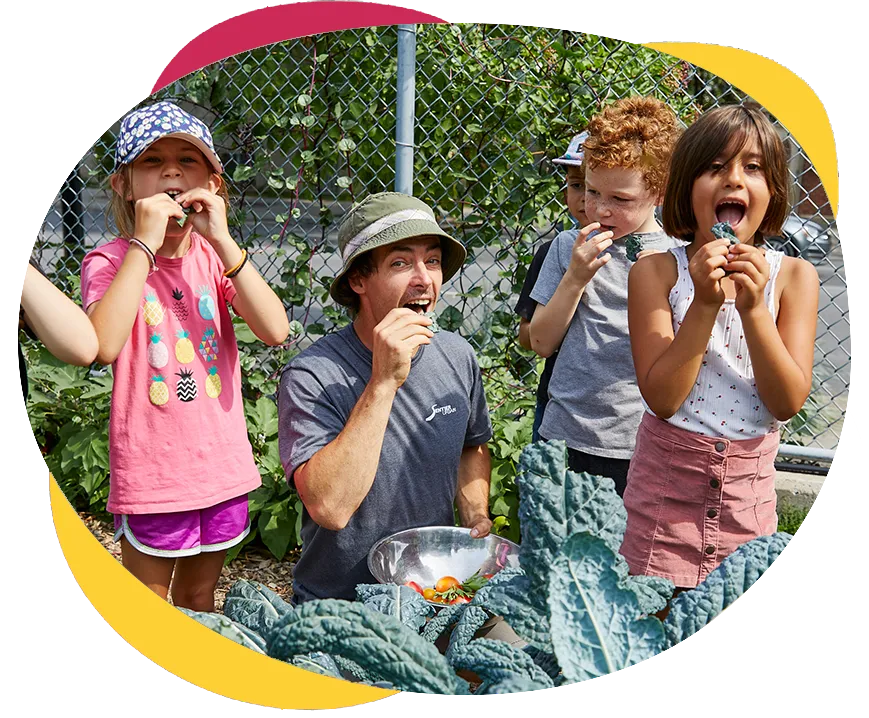 Jardin collectif. Trois enfants et un adulte mangeant de la laitue récoltée naturellement. Collective Garden. Three children and an adult eating naturally harvested lettuce.