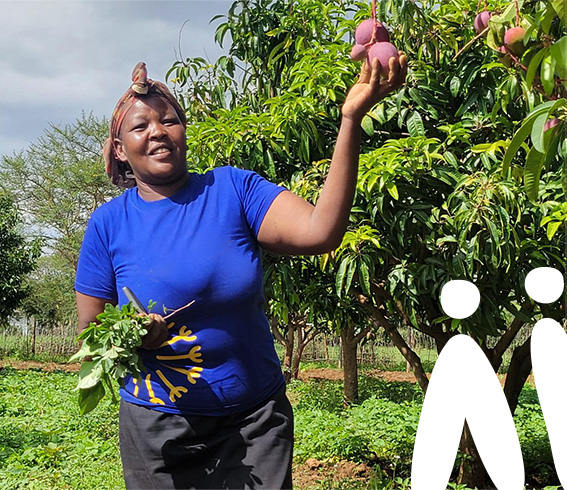 Femme souriante cueillant des fruits sur un arbre.