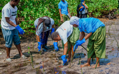 Projet ReSea : Nouveaux jalons dans l’océan Indien occidental