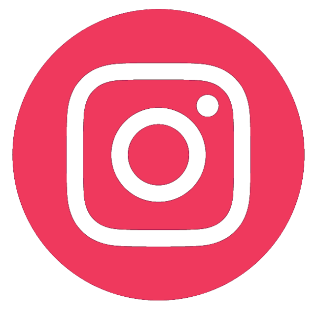 icone icon instagram