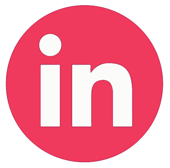 icone icon linkedin