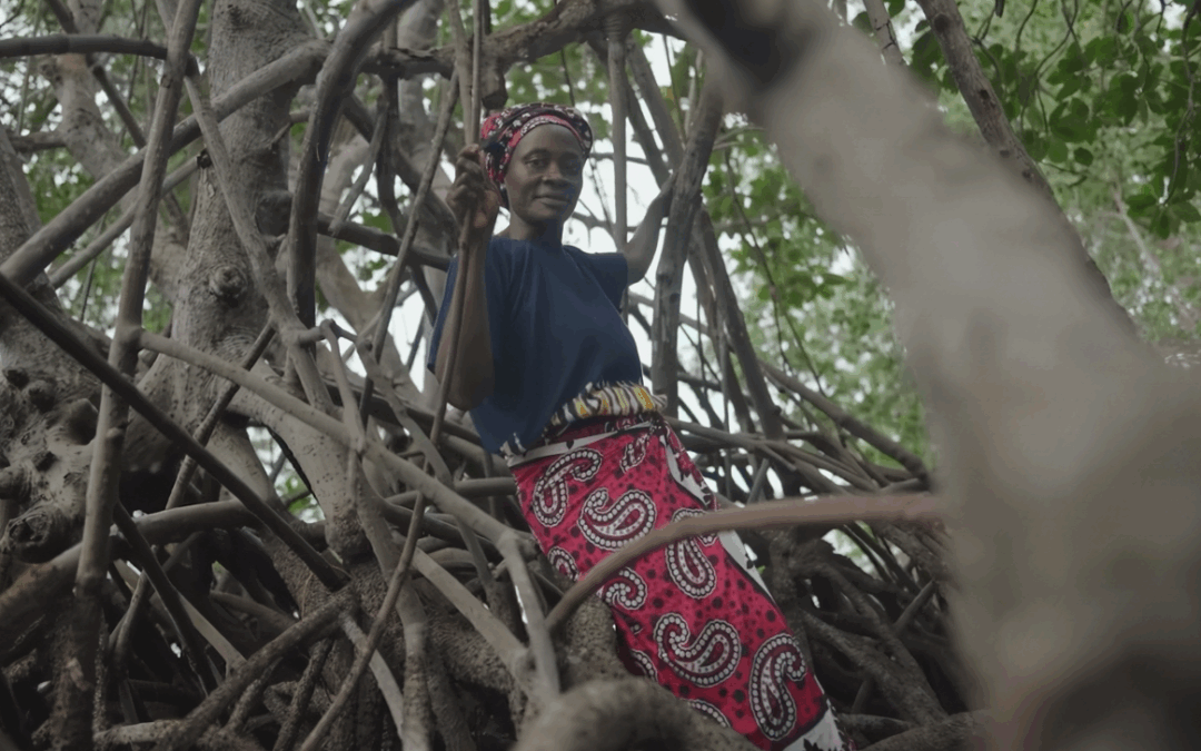 femme au sommet d'un arbre plein de racines.