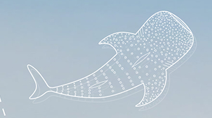 img-En savoir plus sur la série Living Legacy