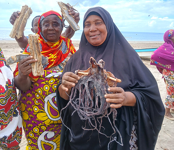 ReSea. Femms tenant du poisson séché et des produits marins sur une plage côtière.