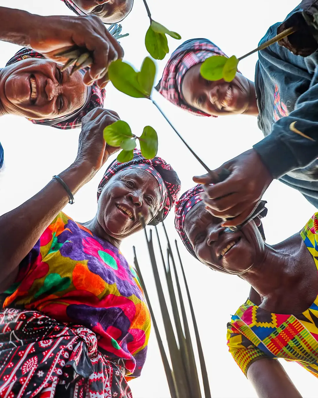 Des femmes réunies en cercle tenant des jeunes plants, illustrant la protection de l’environnement et la régénération de la nature.