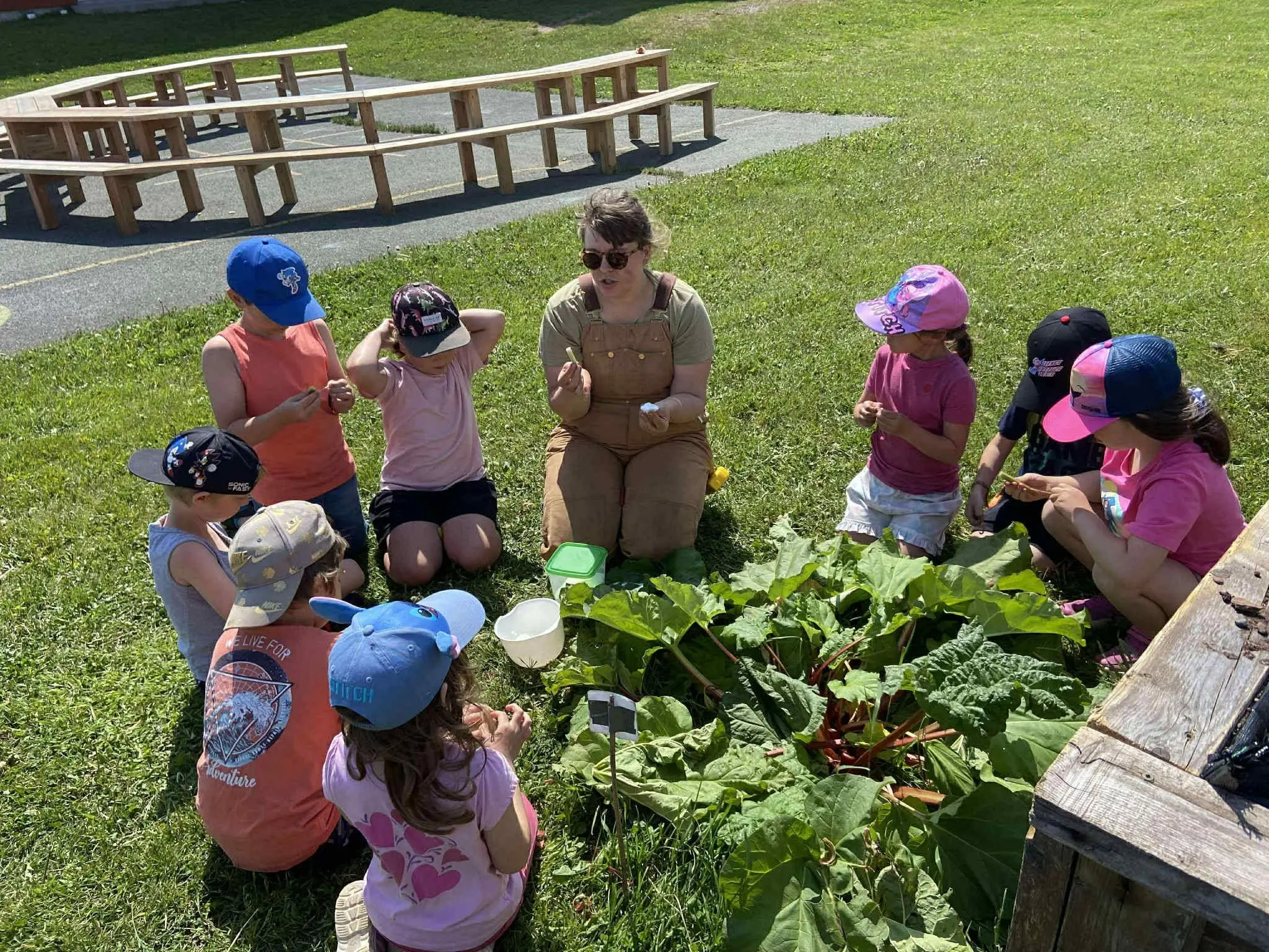 Pour la sécurité alimentaire, un atelier éducatif en plein air où un adulte montre à des enfants comment reconnaître et cultiver une plante verte dans un jardin communautaire.